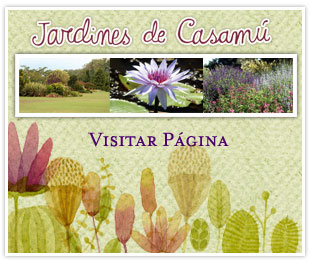 página Web Jardines