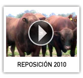 + información