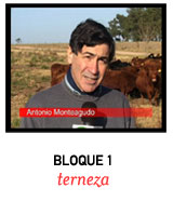 ver video BLOQUE 1