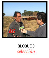 ver video BLOQUE 3