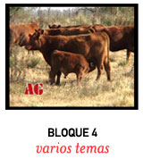 ver video BLOQUE 4