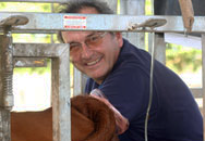 Carlos Munar obteniendo embriones