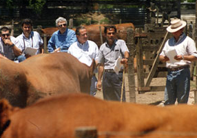 Jornada Téc. en Casamu Cardales (´94). Der: Daniel López, Fernando Sosa, Eduardo Ramos, Fernando Lagos, CSM y Juan A. Lafontaine