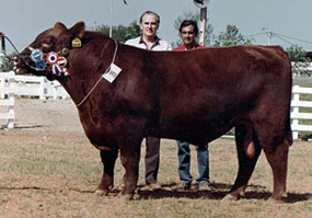 Con Alberto Sosa Gautier, dueño de CSM 318 Iporavé, Gran Campeón Expo Asunción 1989