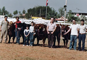 Grandes Campeones. Cacho Bianchi, Carlos, Joaquina y Juan Sackmann, Alberto Sosa Gautier, Fernando sosa y su hermano