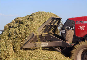 Preparando el silo