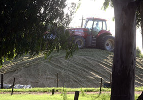 Pisando el silo