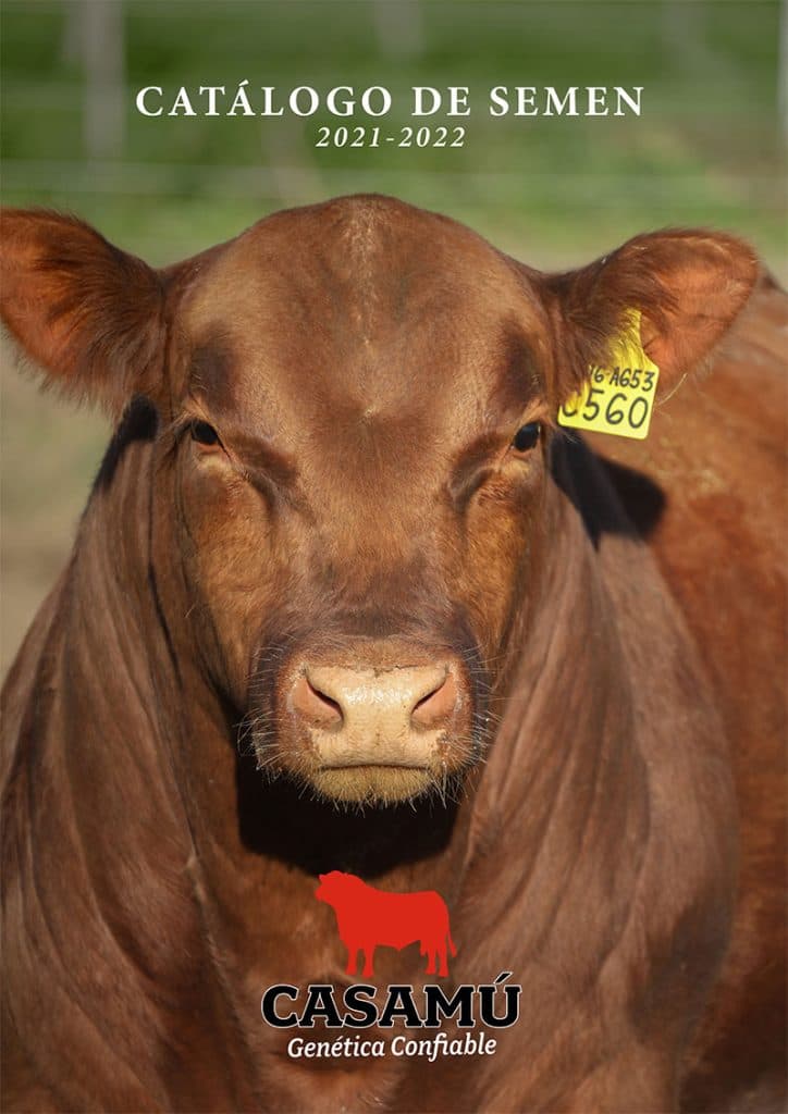 Catálogo de Toros 2021