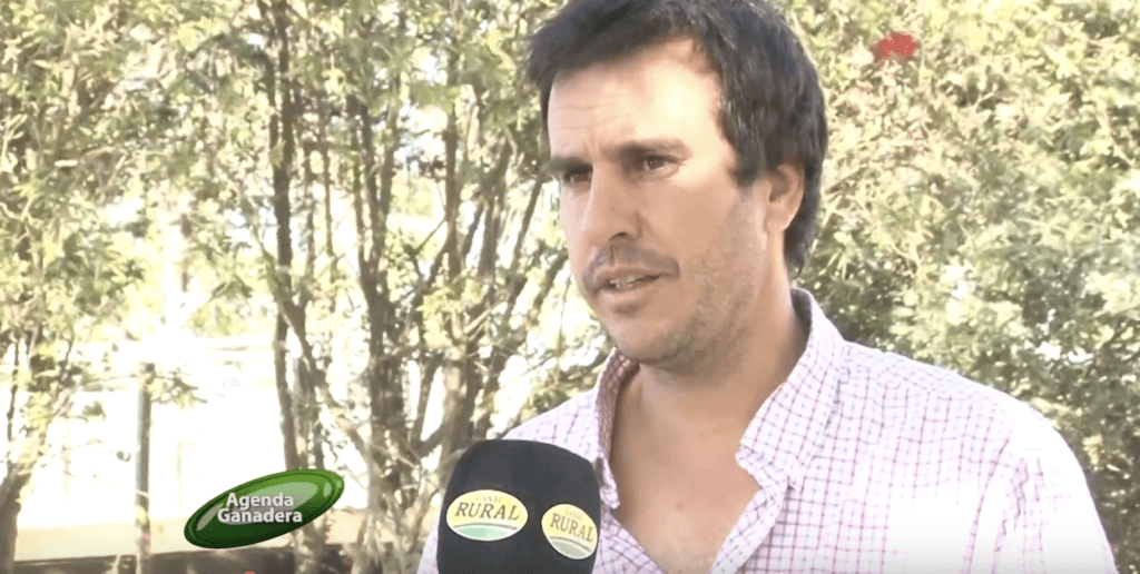 Ignacio Cabo Braceras, Asesor genético de Casamú comenta el remate de Toros Para Vaquillonas 2024