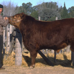 imagen10-historia-de-casamu