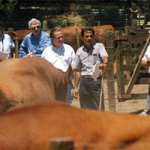 imagen17-historia-de-casamu