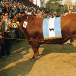 imagen20-historia-de-casamu