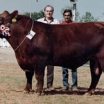 imagen21-historia-de-casamu