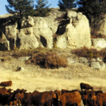 imagen3-historia-de-casamu
