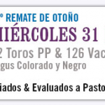 publicidad