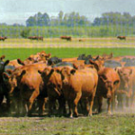 04-casamu
