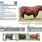 HUINCA