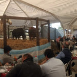 IMG_20170830_144020329-carpa