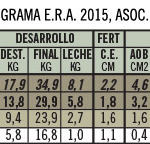 curaca12-casamu