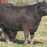curaca3-casamu
