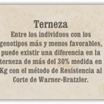 frase