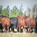 imagen1-remate-actual-casamu