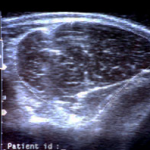 imagen13-objetivos-genetica-casamu