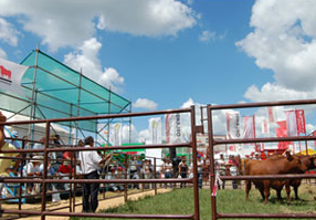 Charla técnica en Expoagro 2010