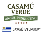 logo-csmv