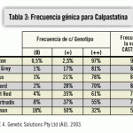 tablas_03