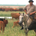 victor-cardoso-en-rufino-casamu