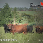 CASAMU-catalogo-semen-2017