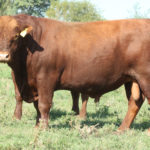 3280 Huinca