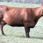 A2-juan-1103