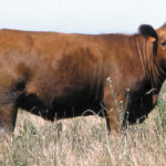 A4-juan-1105