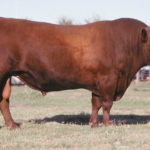 B1-juan-1086