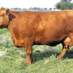 B4-juan-1118