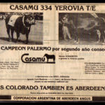 diario