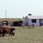 juan-1076
