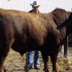 juan-1110