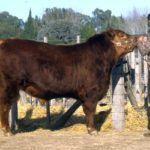 juan-1116