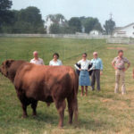wilson-farm—choctawchief-373
