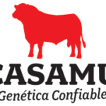 logo544x180