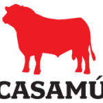 logo544x180-trans