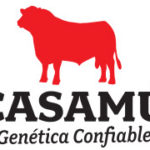logo544x180