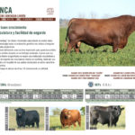 huinca