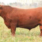 SHK_7918-TAPALQUE-D108-edit-2