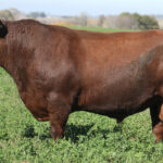 SHK_7463-D108-TAPALQUE-EDIT