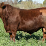 SHK_7692-E474-CABURE-EDIT-2